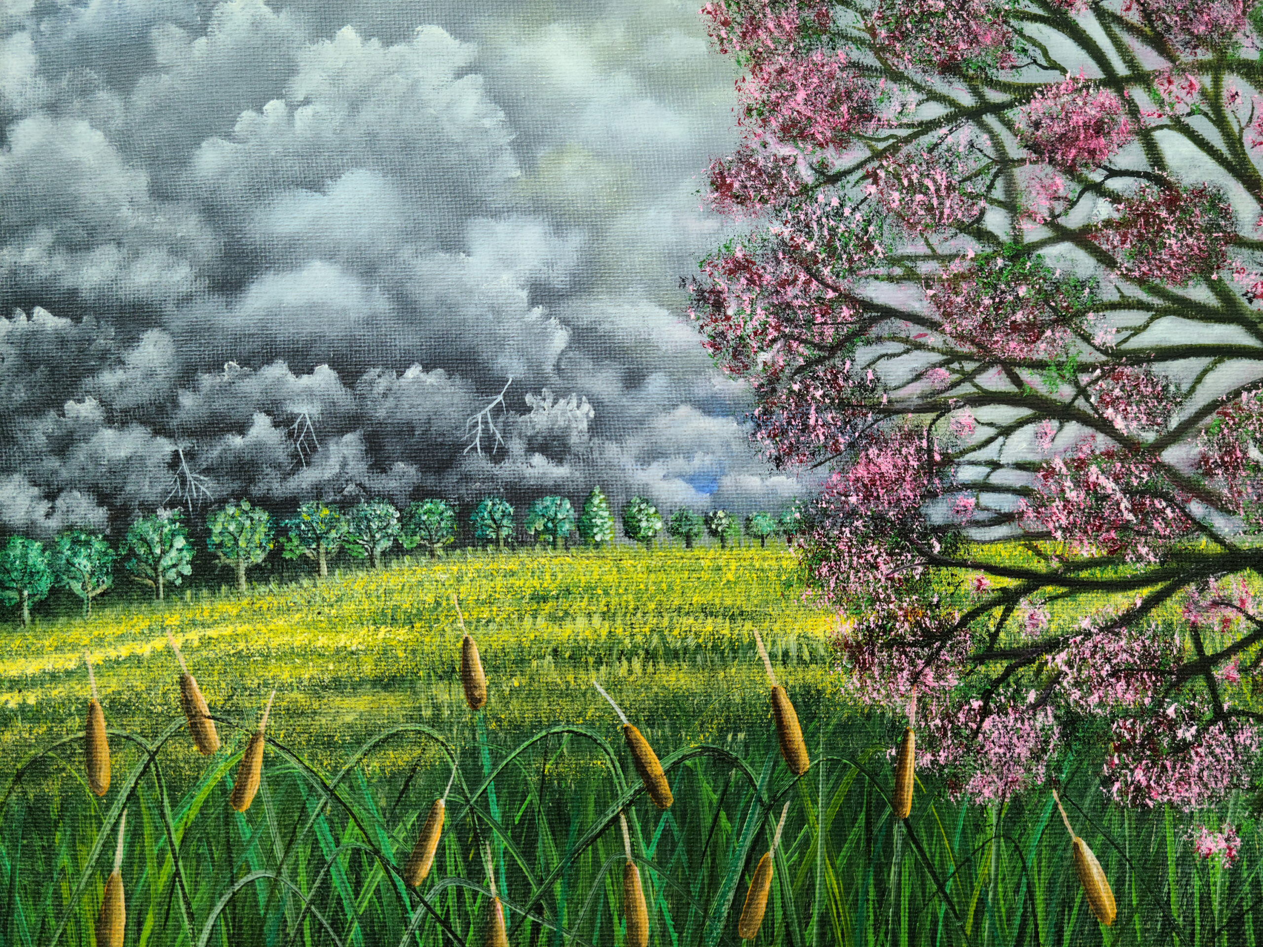This original work is to relax your mind a bit. Every time I see it, I imagine the aroma of wet earth and wet grass lulled by the terrific blast of the wind and the breeze caressing my face while I watch the rain pass in the field. What happens is that it also causes adrenaline from running very hard but at the same time fleeing from how bad what we perceive on the horizon can be.