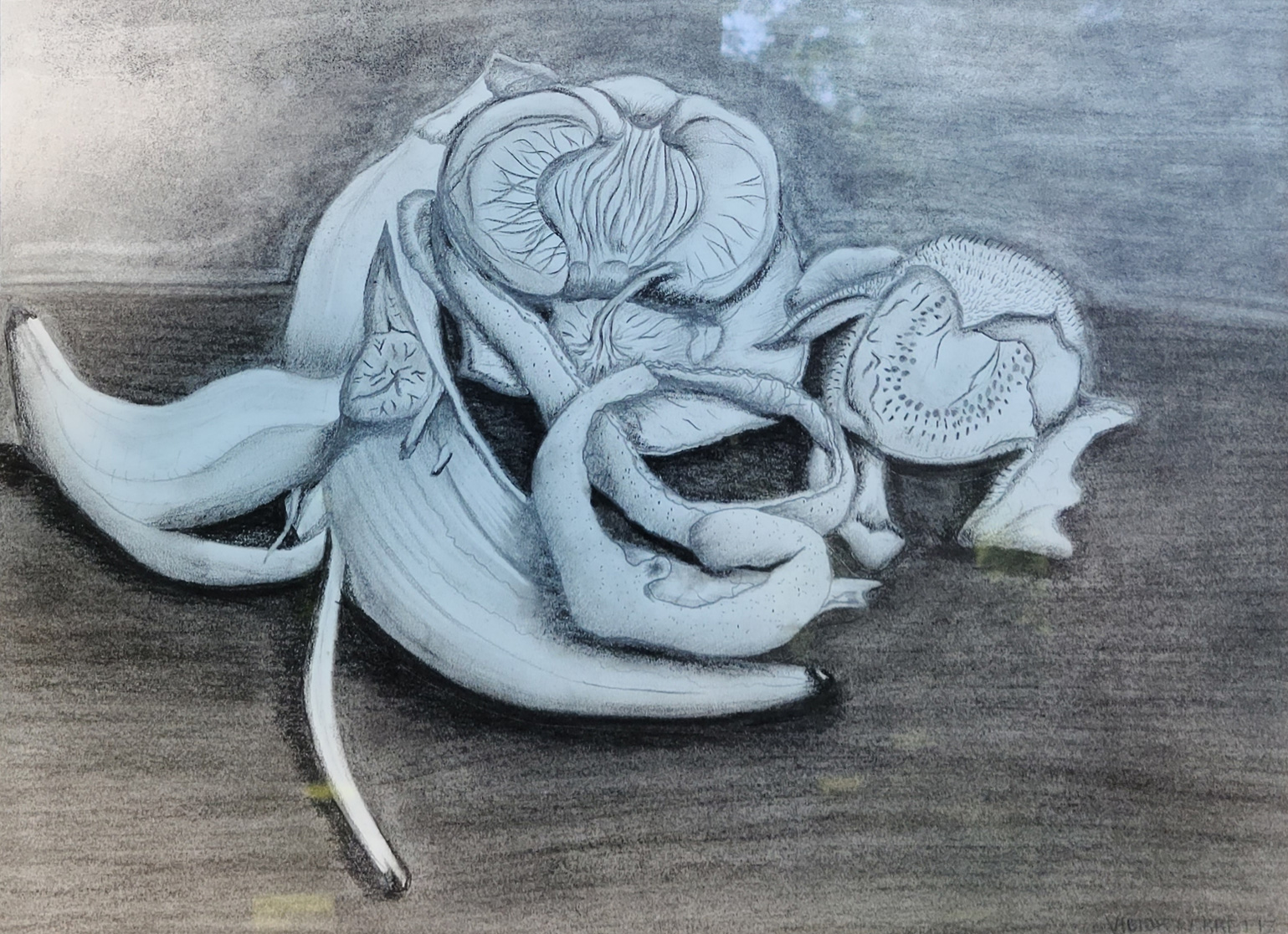 This original artwork was drawn with charcoal and pencil on drawing paper. This drawing is a set of bananas, kiwis, and tangerines that form a gestation of a baby. This drawing symbolizes the health and good nutrition that a baby in the gestation process must receive in order to be more likely to be born healthy and strong.