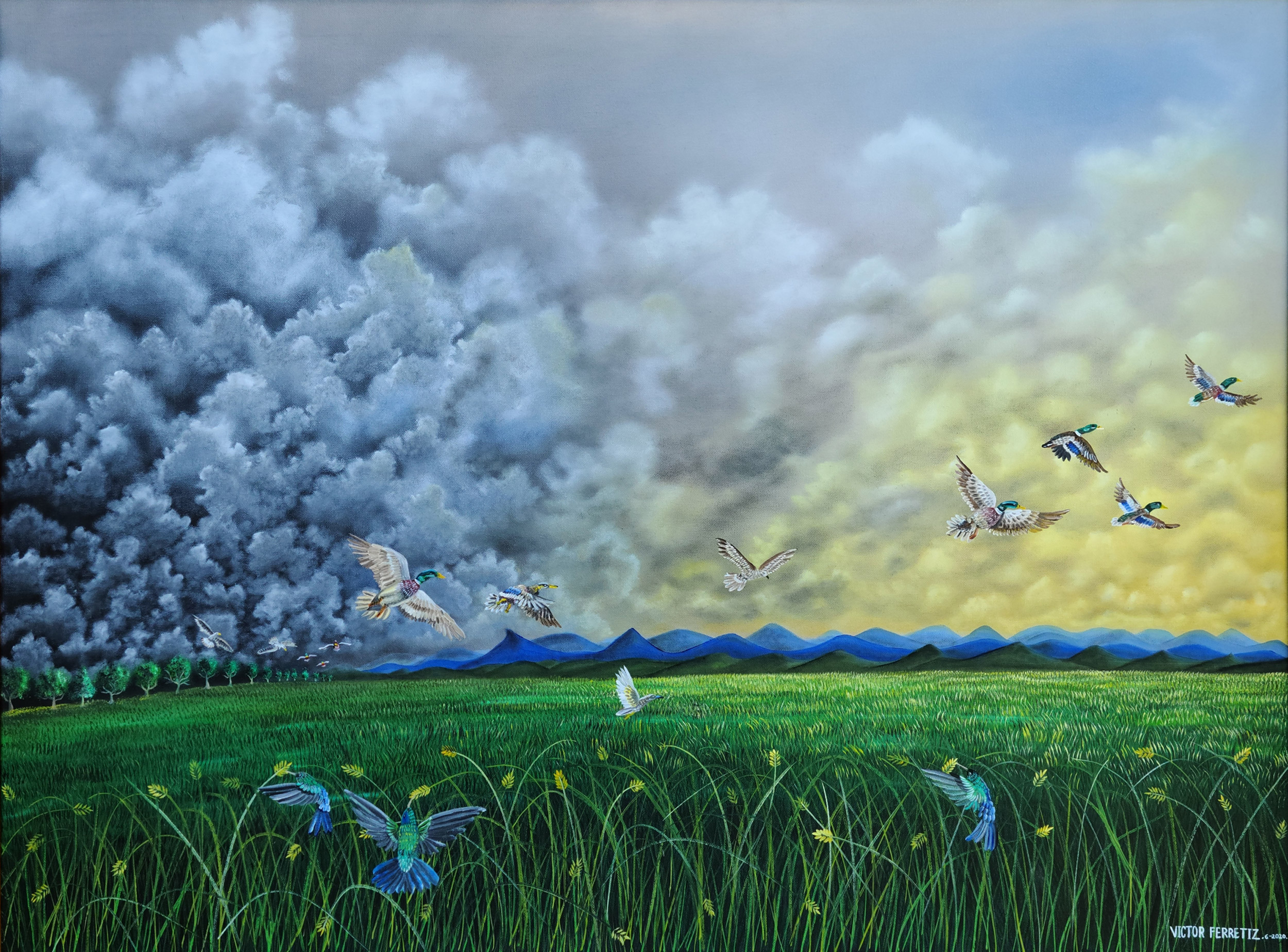 This painting comes with an antique frame. This original work of art symbolizes freedom depicted in birds flying away from the dark storm. The aromas of the wet grass by the dew of the storm release a fragrance of freedom in the fields of forgiveness and love. Hummingbirds bring the messages of our loved ones that have already passed to the other side of the earth. The clouds run desperately because the sun's rays threaten to transform them into precipitation on the field, but the right will always win the battle. The homeland will always be present, even if the coward does not want it. Long live freedom.