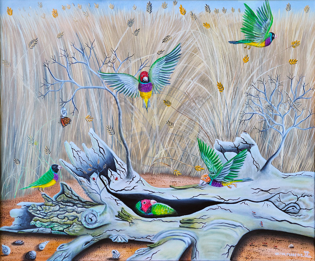 This original artwork shows a great harmony of Gouldian finches flying around a dry tree trunk. The colors of these beautiful birds announce that the joys of life have to be shouted and exploited by ourselves. The monarch butterfly emerging from the cocoon symbolizes our evolution over time and of all the skills we have learned. The ants symbolize the strong effort that we have been making to achieve our dreams. Wheat plants represent the daily bread that God offers us as a reward after a long day of great work. The walking stick insect symbolizes everything that we do not perceive in life, which can harm us and that we do not realize. The snails and shells symbolize that we must draw a line between people who do not suit us. Set your priorities, set your limits, and learn to say no kindly to what gives us a bad feeling.