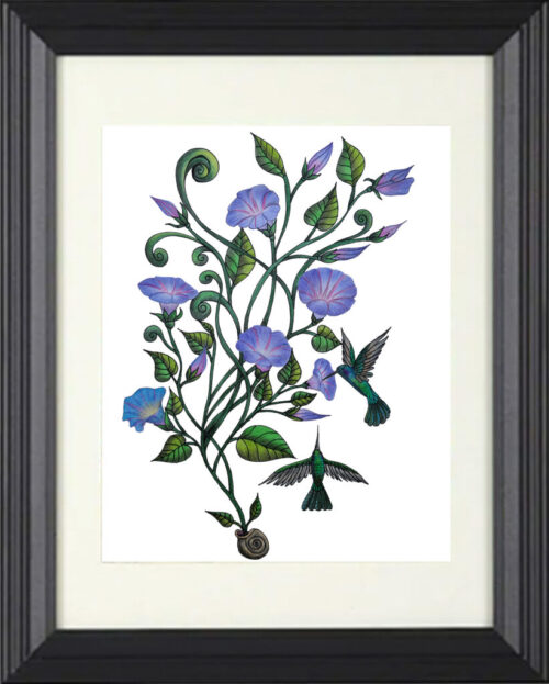 Morning Glories & Hummingbirds - Print