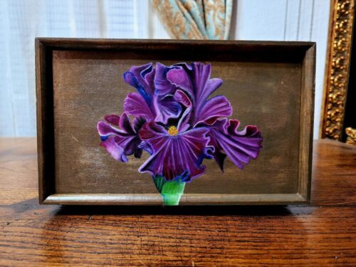 Purple Bearded Iris - Trinket Box
