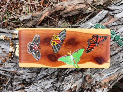 Moths & Butterflies | Antique Wooden Box