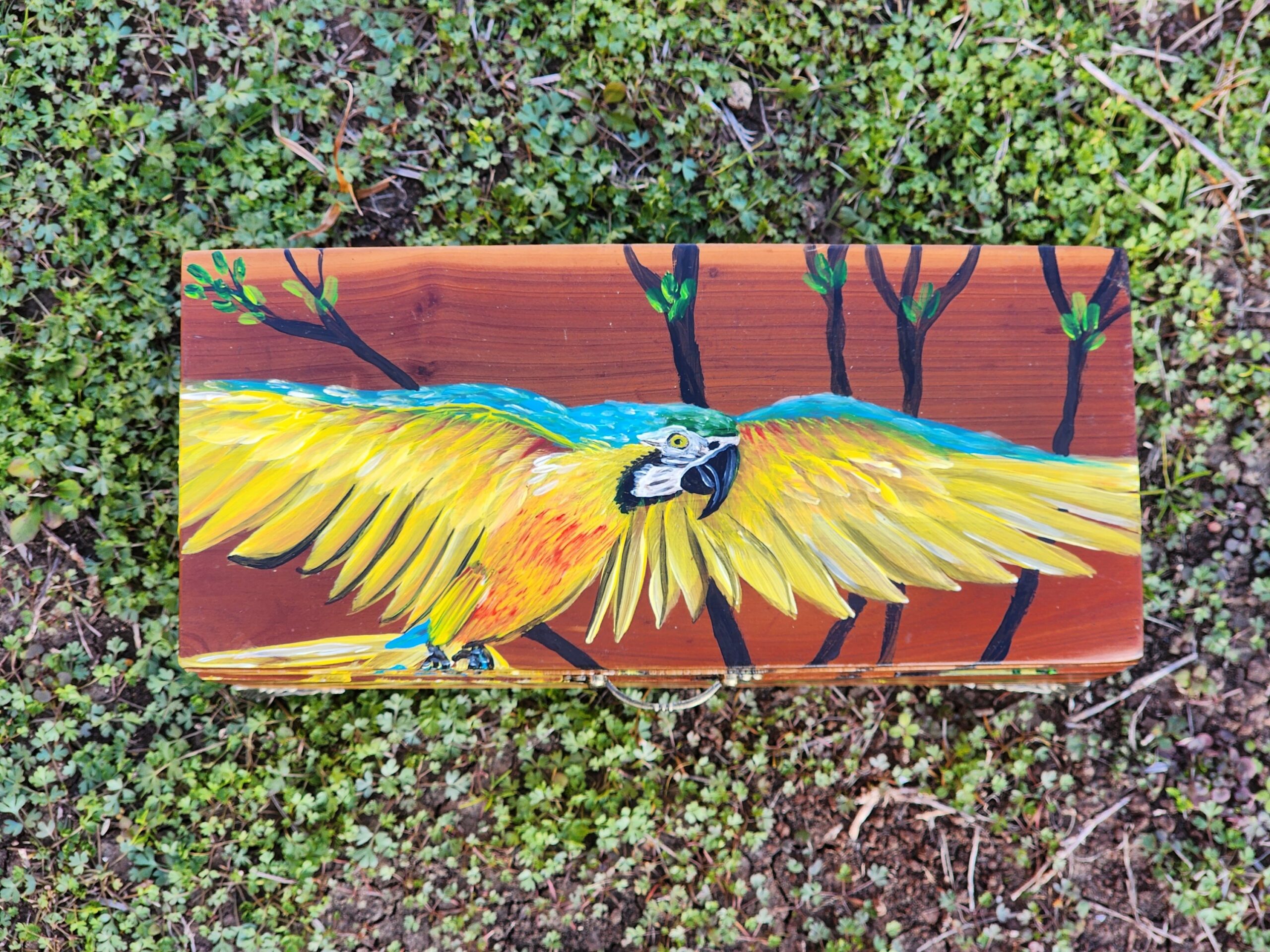 Repurposed antique wooden jewelry box. Handpainted design of a macaw. Brass feet and antique bronze plated handle.
