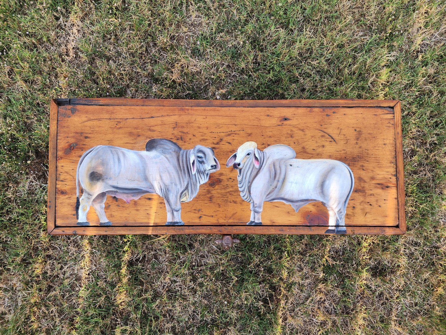 Repurposed antique pine tool box with a design a pair of brahma bulls. Original patina and original trey inside. This box dates from the mid-1800s, and that waht makes this box special and unique.